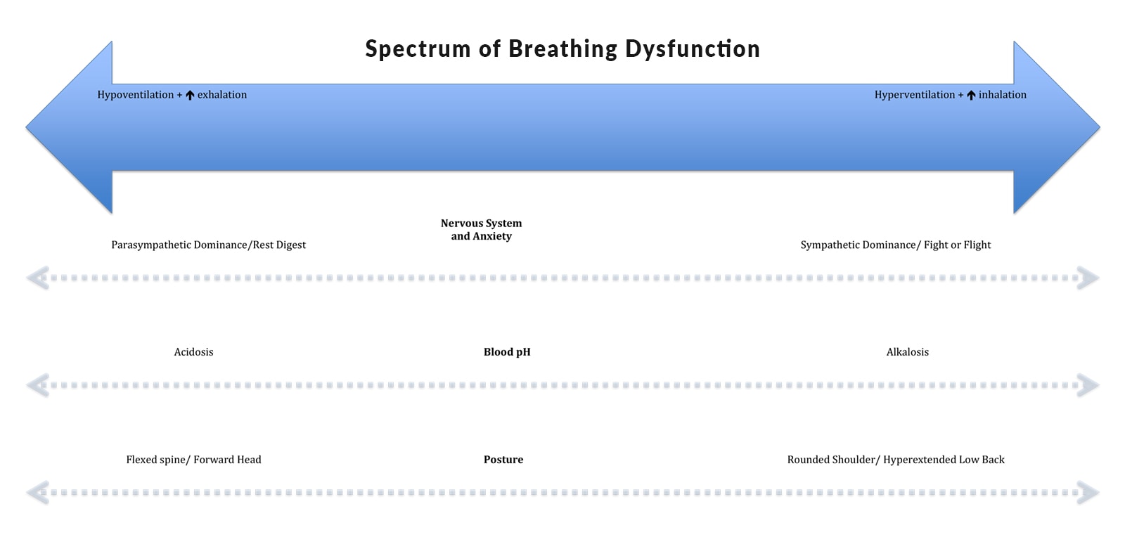 SpectrumBreathingDysfunction_Diagram